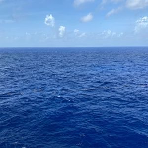 Meet your Posher, Fan